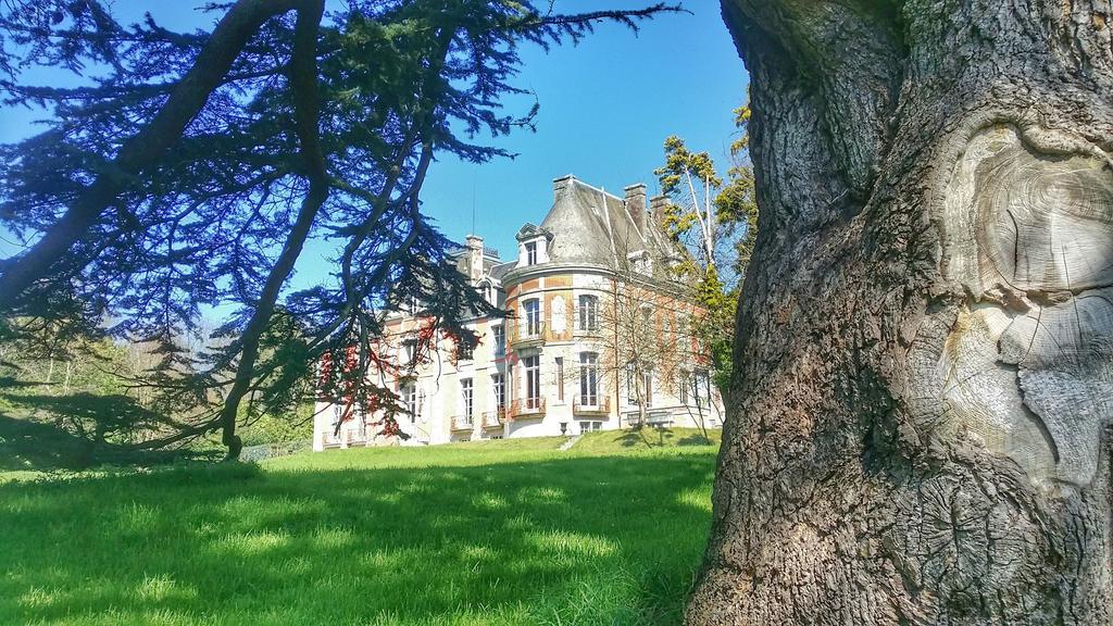 Bacilly Chateau De Chantore מראה חיצוני תמונה