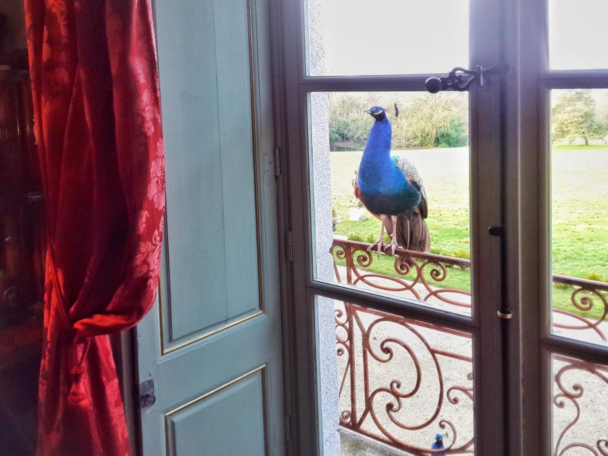 Bacilly Chateau De Chantore מראה חיצוני תמונה
